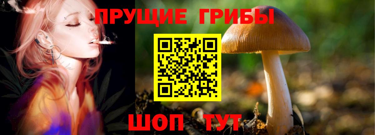 Самара  Псилоцибиновые грибы GOLDEN TEACHER  Вход с VPN 